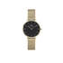 Kép 1/6 - Daniel Wellington Petite Evergold női karóra DW00100349