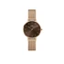 Kép 1/3 - Daniel Wellington Petite Amber női karóra DW00100476